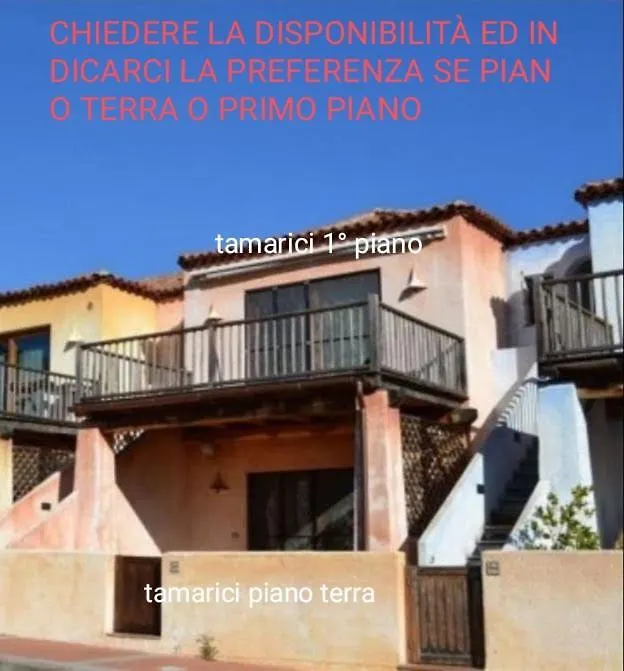 Tamarici contacts